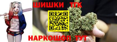 МДПВ Славгород