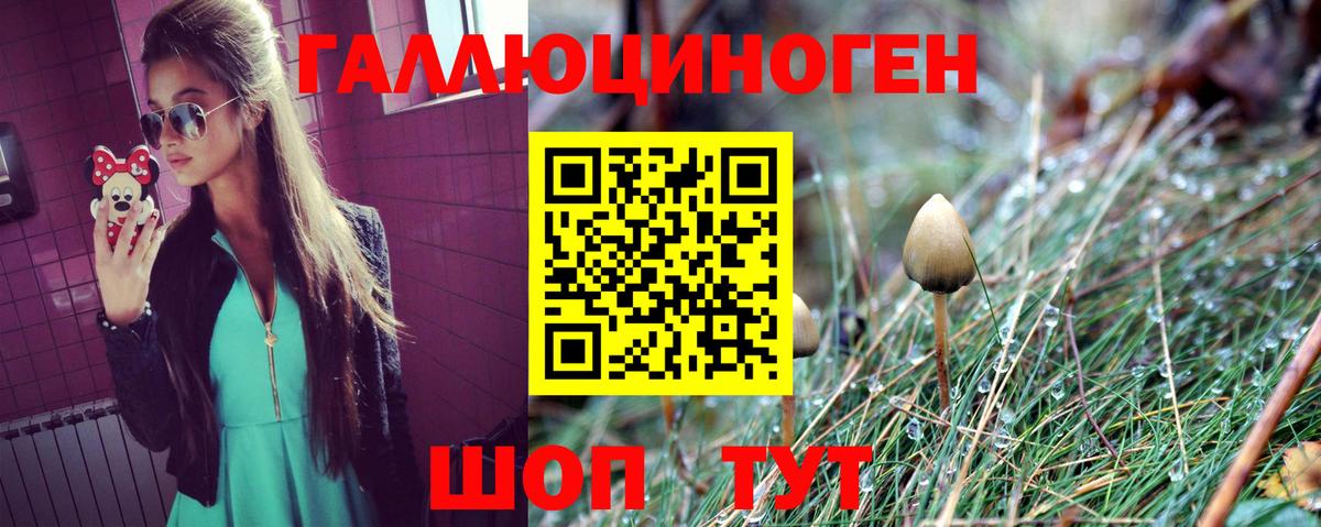 Псилоцибиновые грибы мицелий Можайск