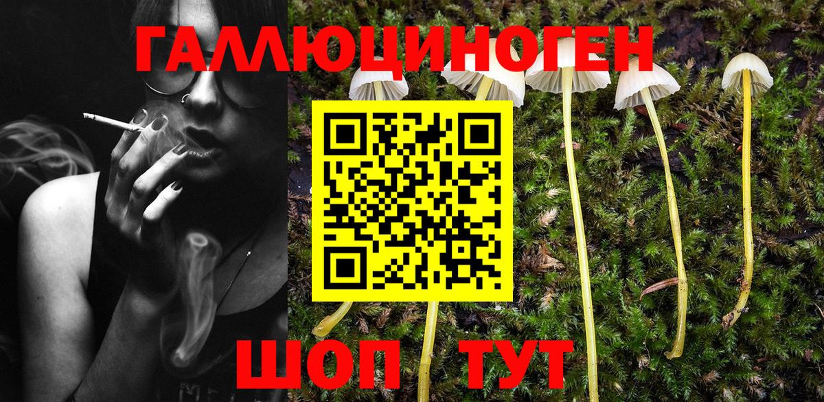 Галлюциногенные грибы мицелий  Вход с VPN  Галлюциногенные грибы прущие грибы  Можайск 